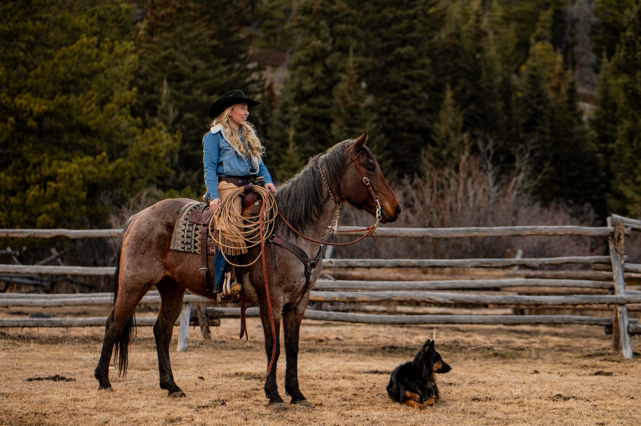 Horsewoman horseback with ranch dog