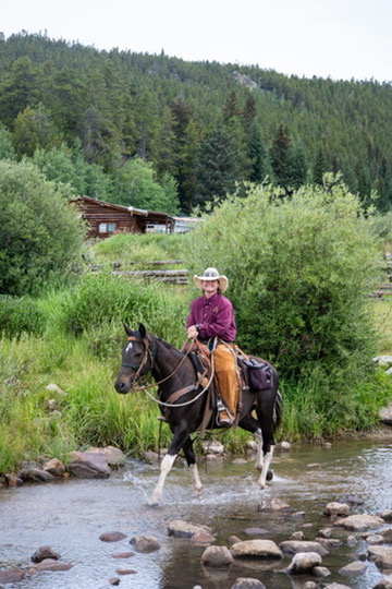 Horse and rider crossing a creek