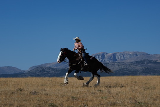 Horse and rider across open country