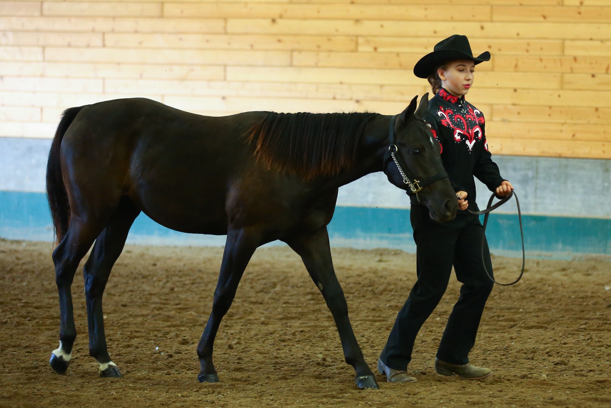 Western showmanship with horse