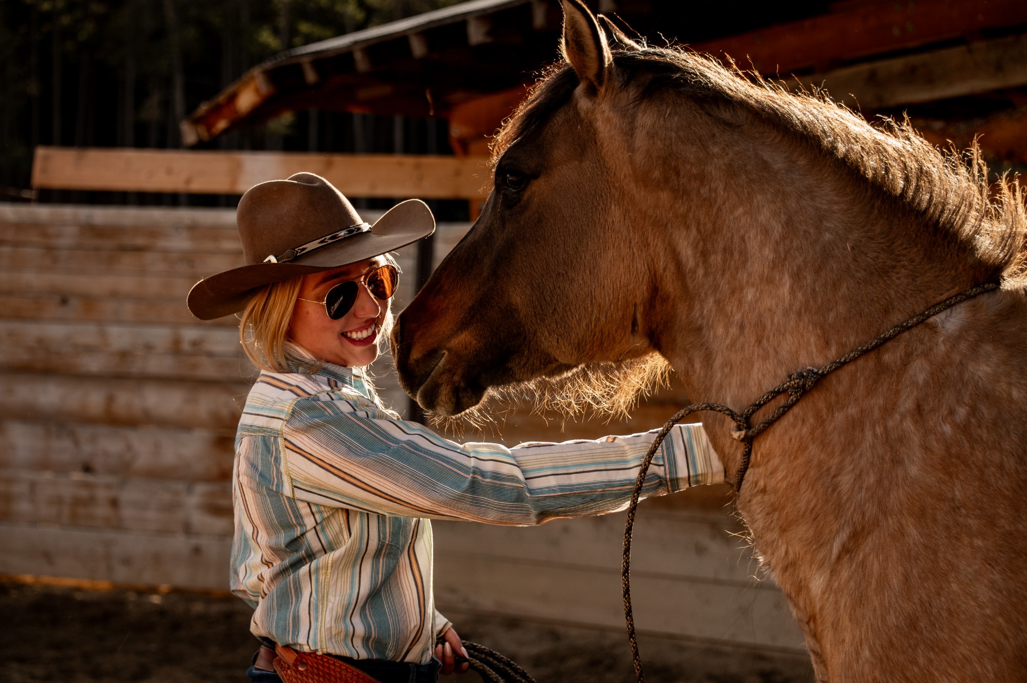 Working with a young horse