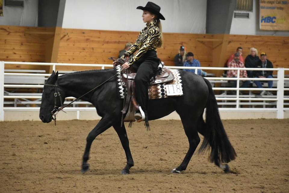 Western pleasure competition